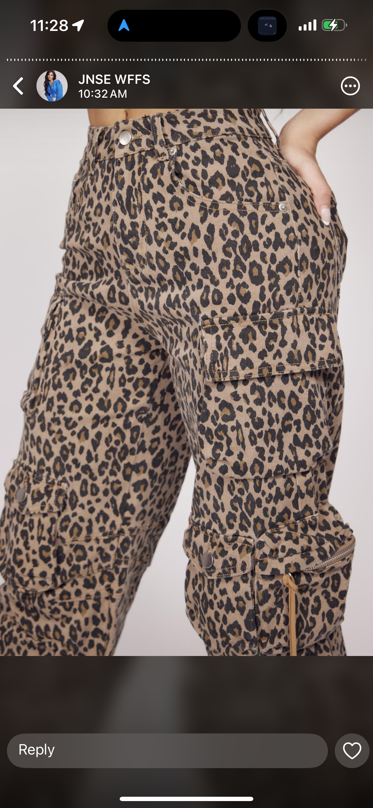 Doja Cargo Pants Animal Print Full Stretch